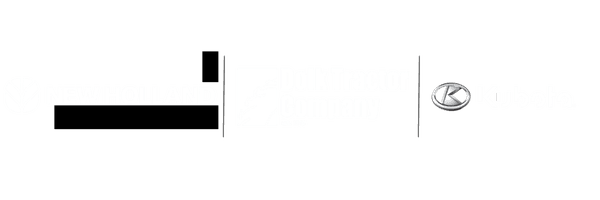 Dry Brushing Placeholder Image